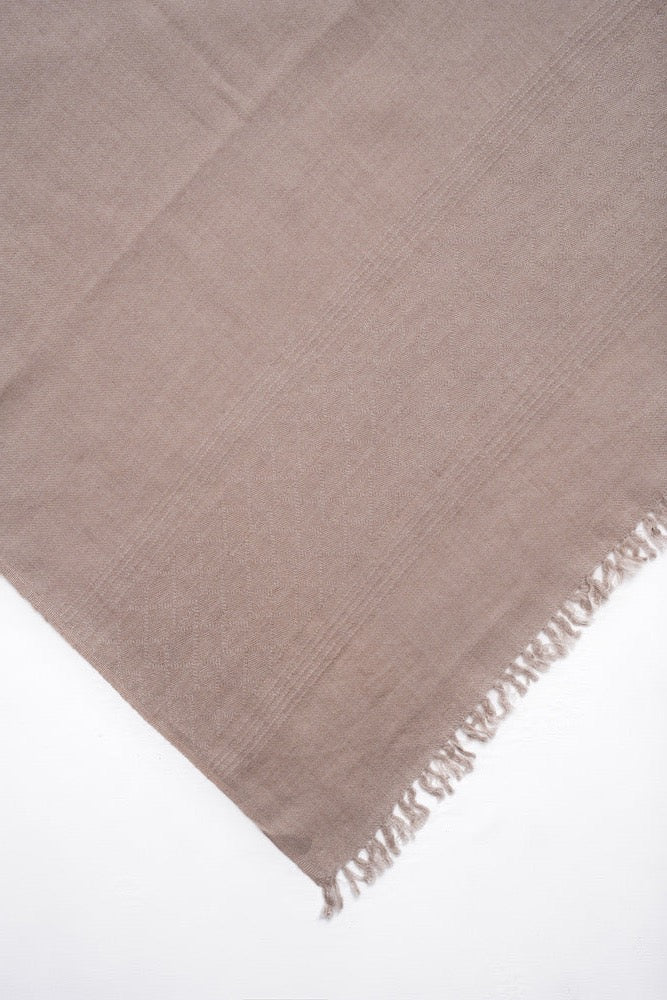 Self Border Kashmiri Shawl