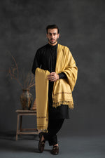 shawl
shawls
Women Shawls
gents shawl
winter shawls
kashmiri gents shawls price
men shawl 