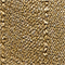 Golden Rod
